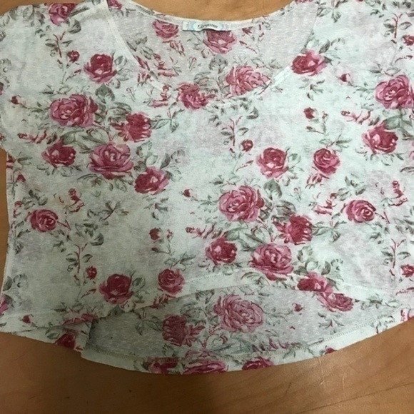 Sheer Loose Floral Crop Top size small - Picture 4 of 7